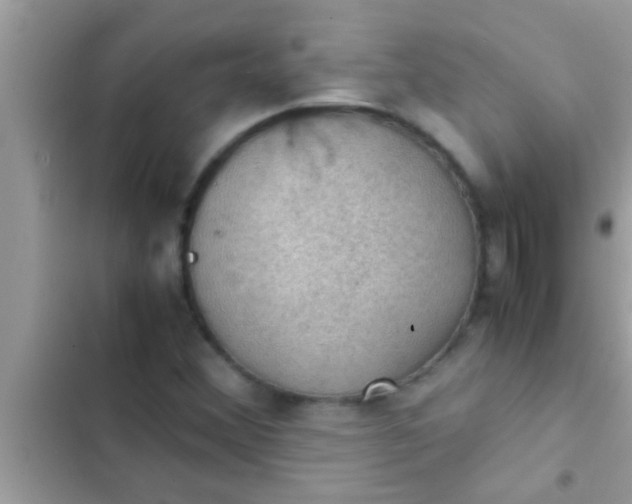 X0000102391356200808151911