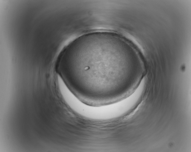 X0000102391357200808151911