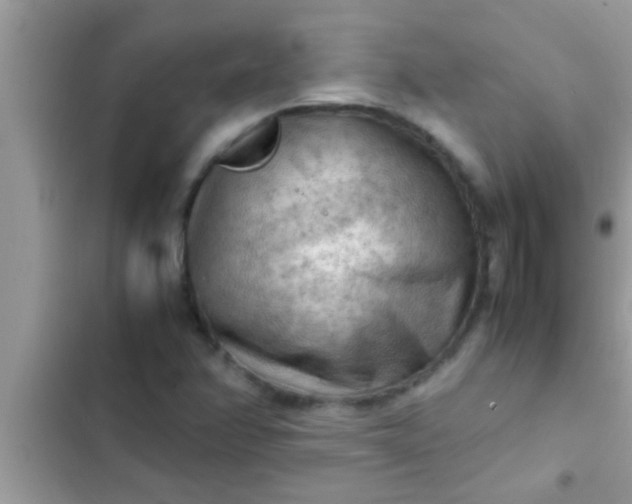 X0000102391358200808151911