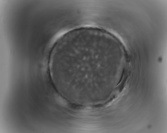 X0000102391359200808151911