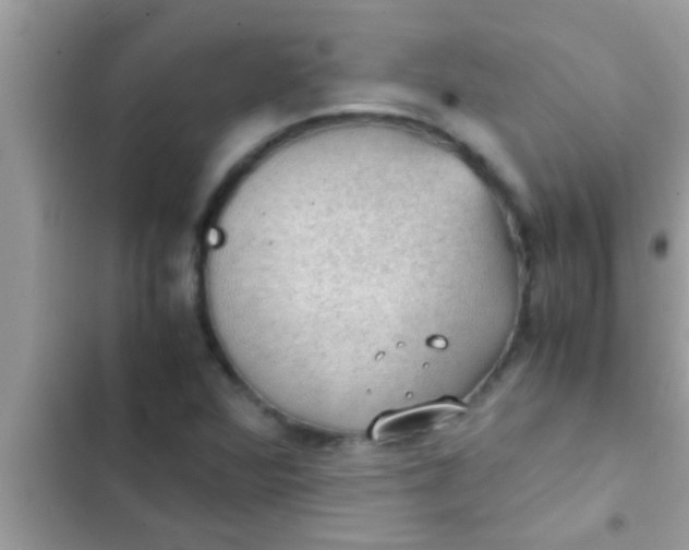 X0000102391360200808151911