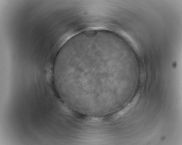 X0000102391361200808151911