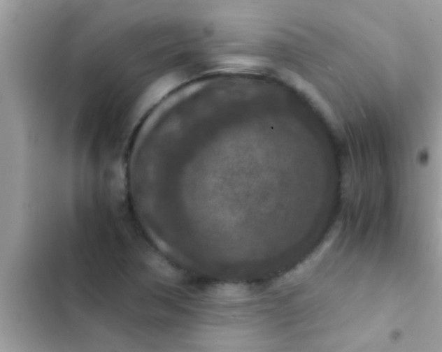 X0000102391362200808151911