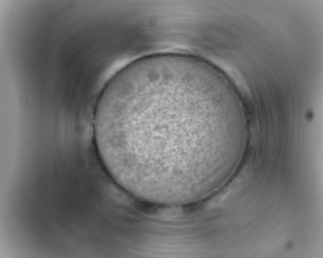 X0000102391363200808151911