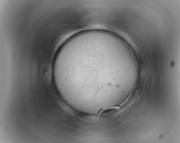 X0000102391364200808151911