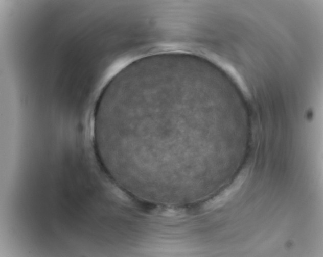 X0000102391365200808151911