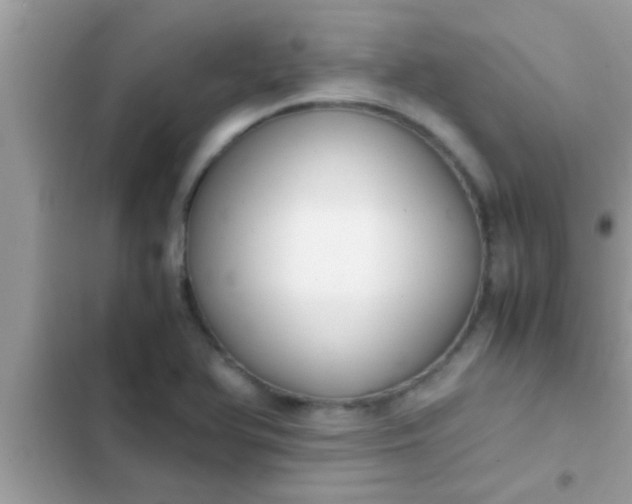 X0000102391366200808151911