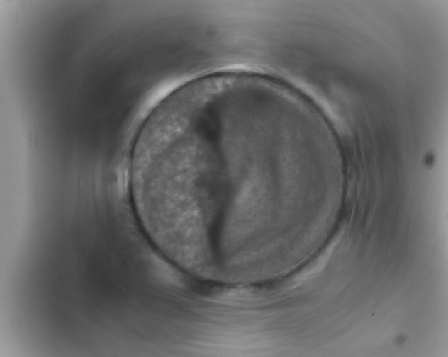 X0000102391367200808151911