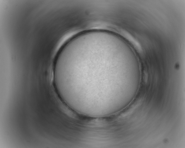 X0000102391368200808151911