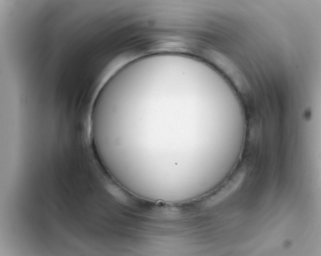 X0000102391370200808151911