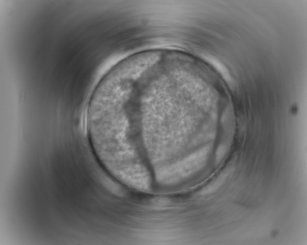 X0000102391371200808151911