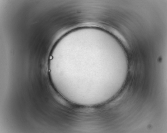 X0000102391372200808151911