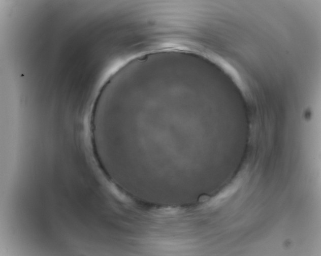 X0000102391373200808151911