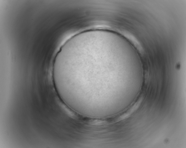 X0000102391374200808151911