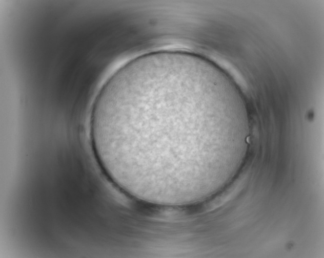 X0000102391375200808151911