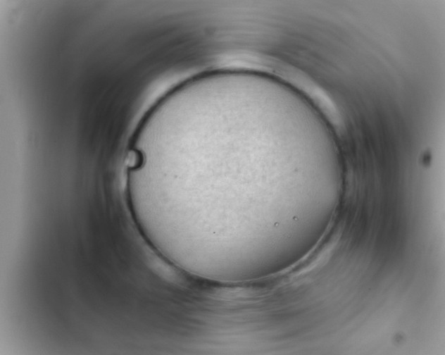 X0000102391376200808151911