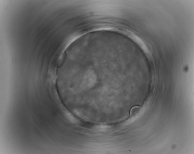 X0000102391377200808151911