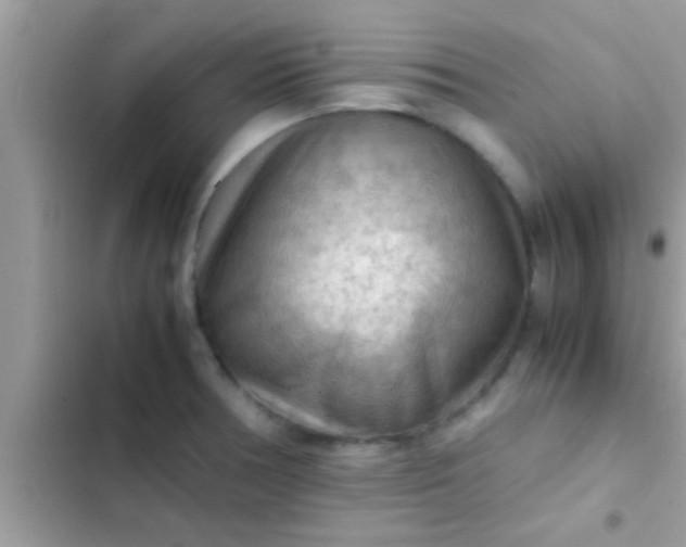 X0000102391378200808151911