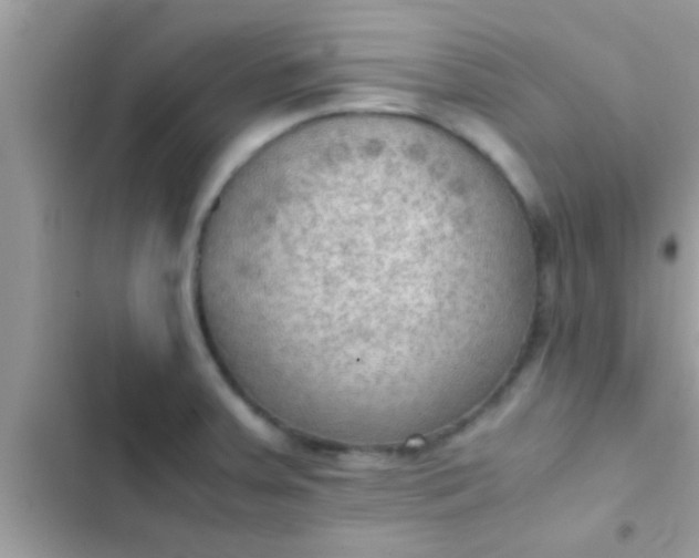 X0000102391379200808151911