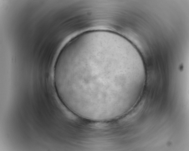 X0000102391380200808151911