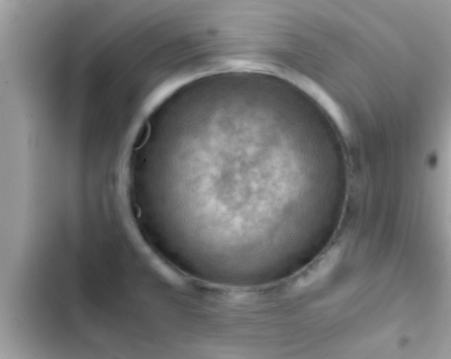 X0000102391381200808151911