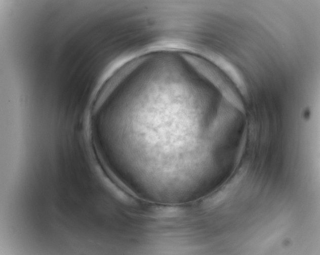 X0000102391382200808151911