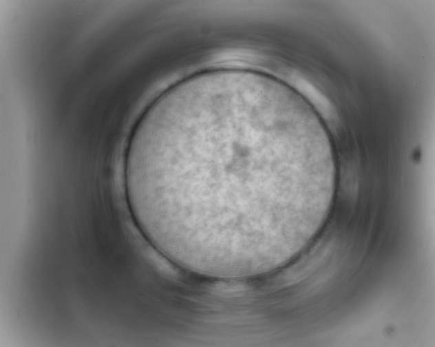 X0000102391384200808151910