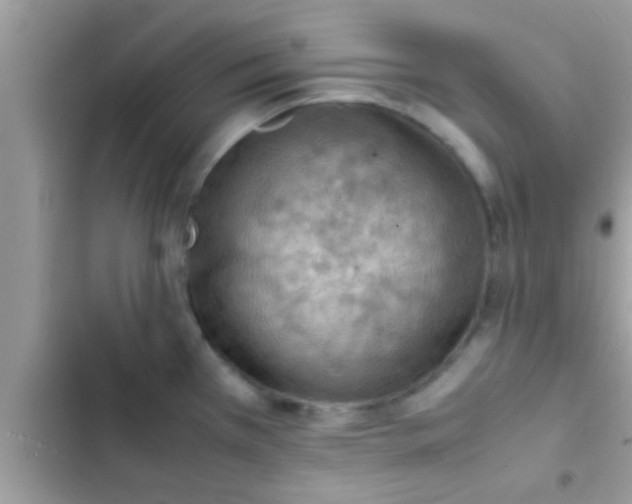 X0000102391385200808151910