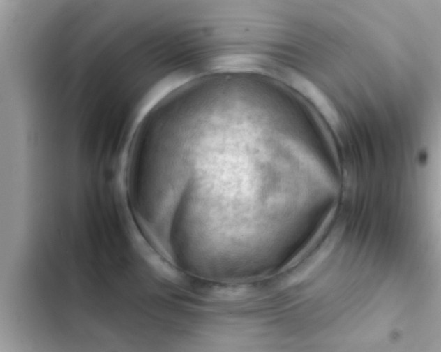 X0000102391386200808151910