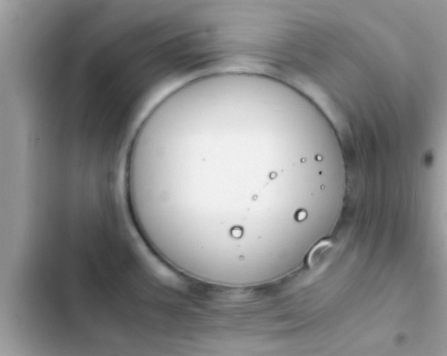 X0000102391387200808151910