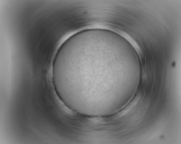 X0000102391388200808151910