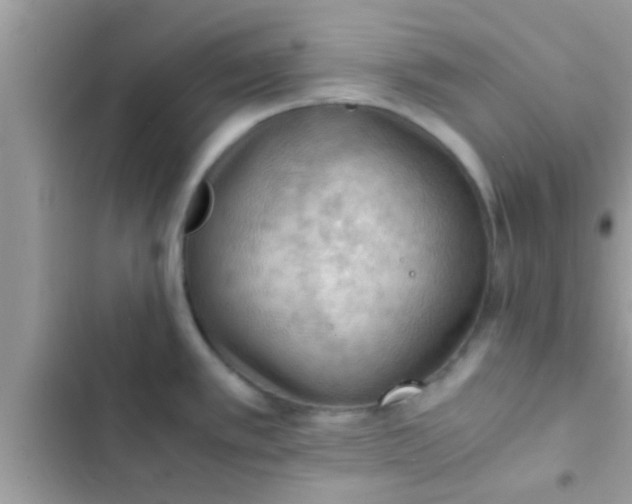 X0000102391389200808151910