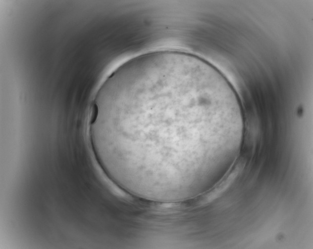 X0000102391390200808151910