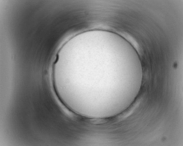 X0000102391391200808151910