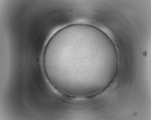 X0000102391392200808151910