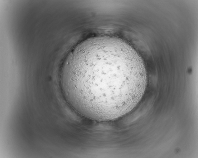 X0000102391393200808151910