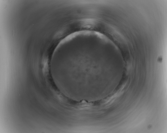 X0000102391394200808151910