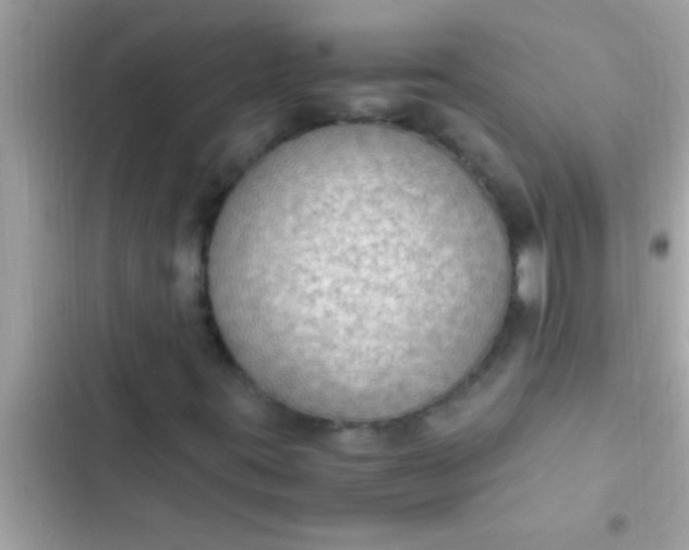 X0000102391395200808151910