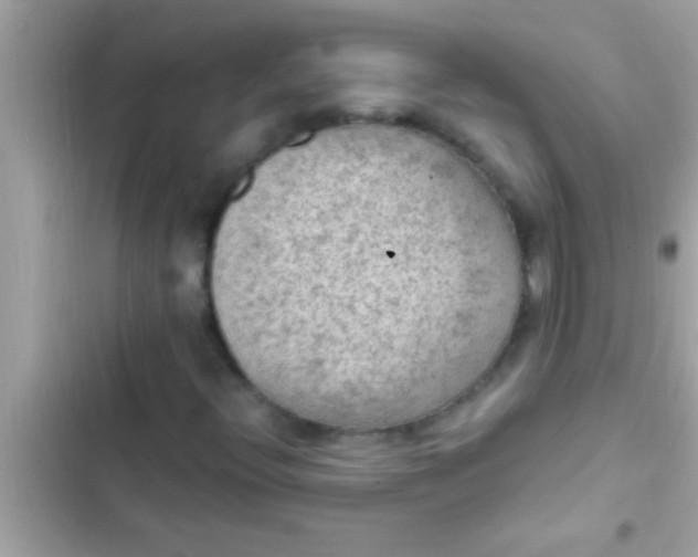 X0000102391396200808151910