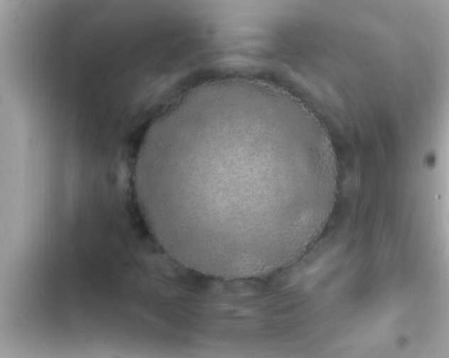 X0000102391397200808151910