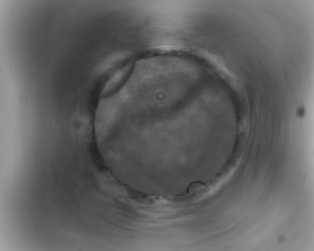 X0000102391398200808151910