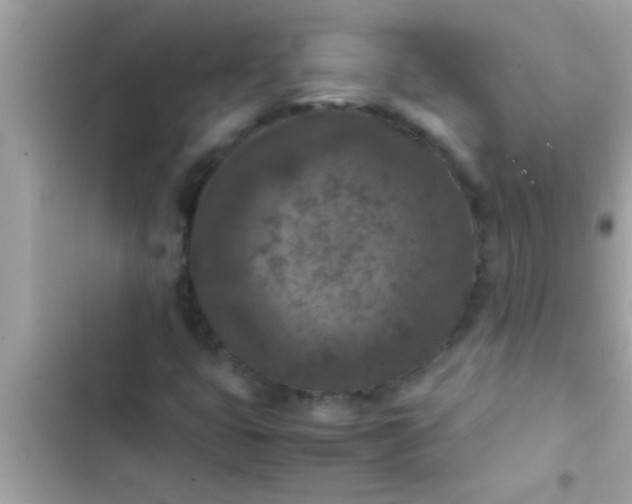 X0000102391399200808151910