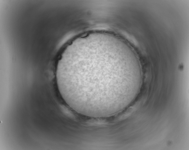 X0000102391400200808151910