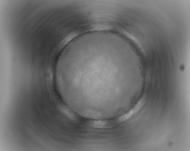 X0000102391401200808151910