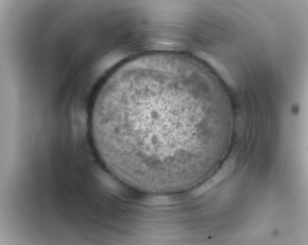 X0000102391402200808151910