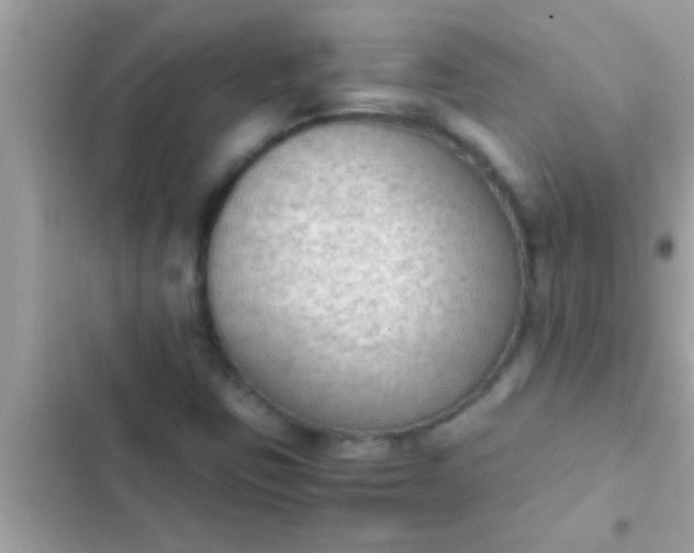 X0000102391403200808151910