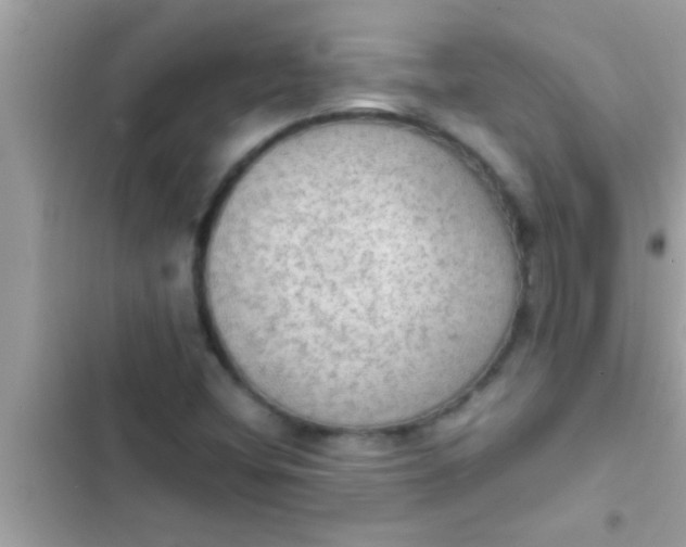 X0000102391404200808151910