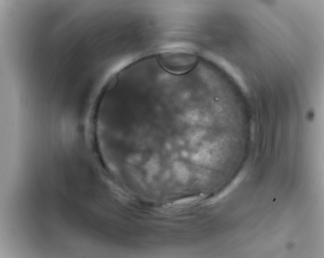 X0000102391405200808151910