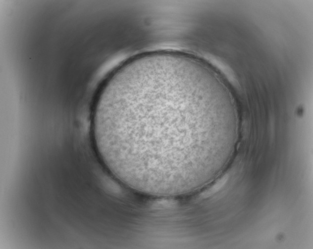 X0000102391406200808151910