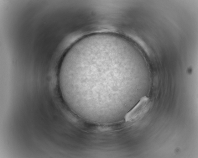 X0000102391407200808151910